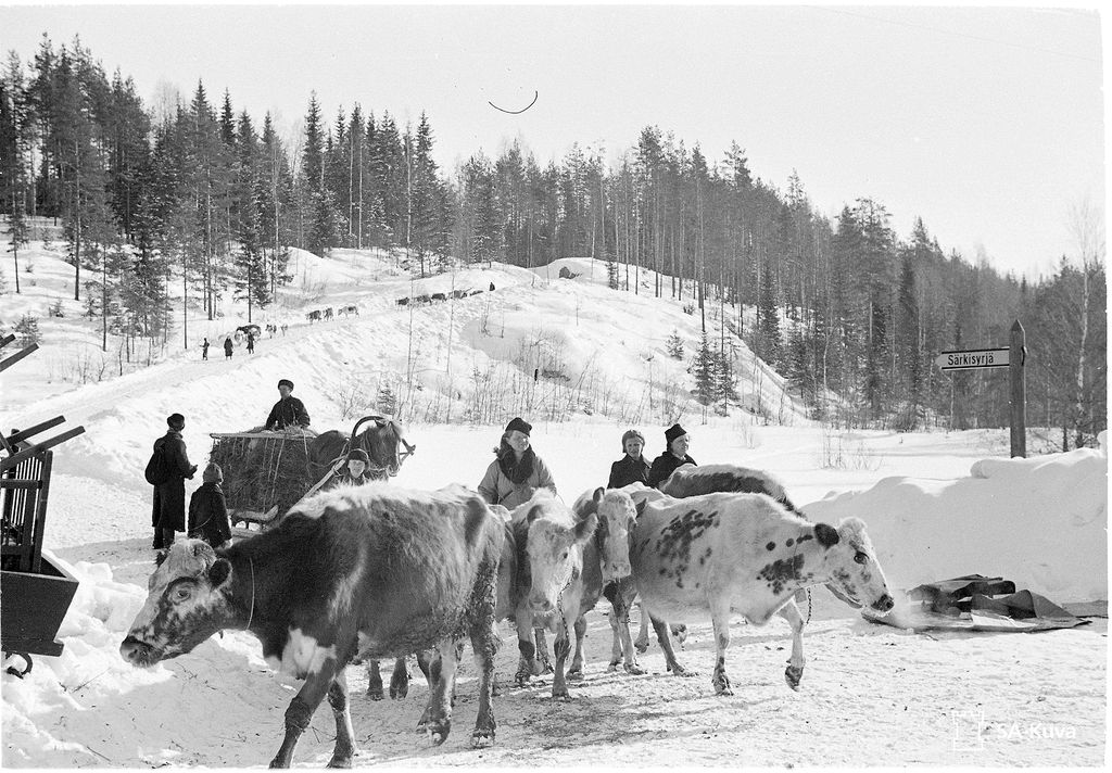 Karjalaisia evakuoidaan Särkisyrjästä vuonna 1940.